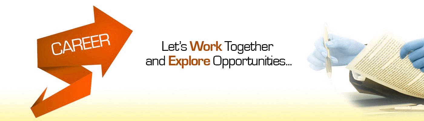 Company profile